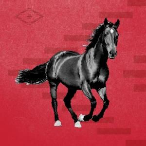 Equestrian