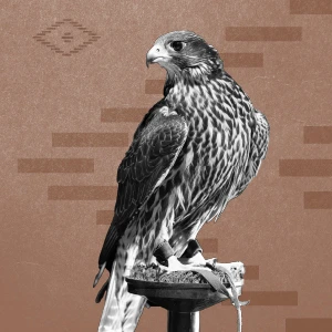 Falconry