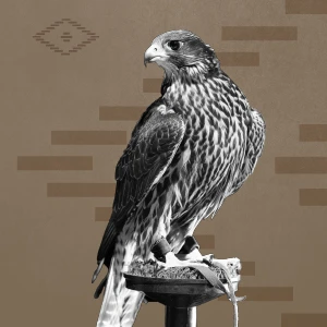 Falconry