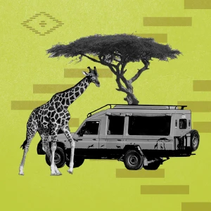Hunting Tourism & Safari